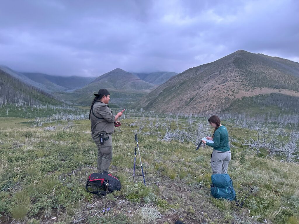 Blackfoot Confederacy Guardianship Rocky Mountain East Slopes Knowledge Hub field work
