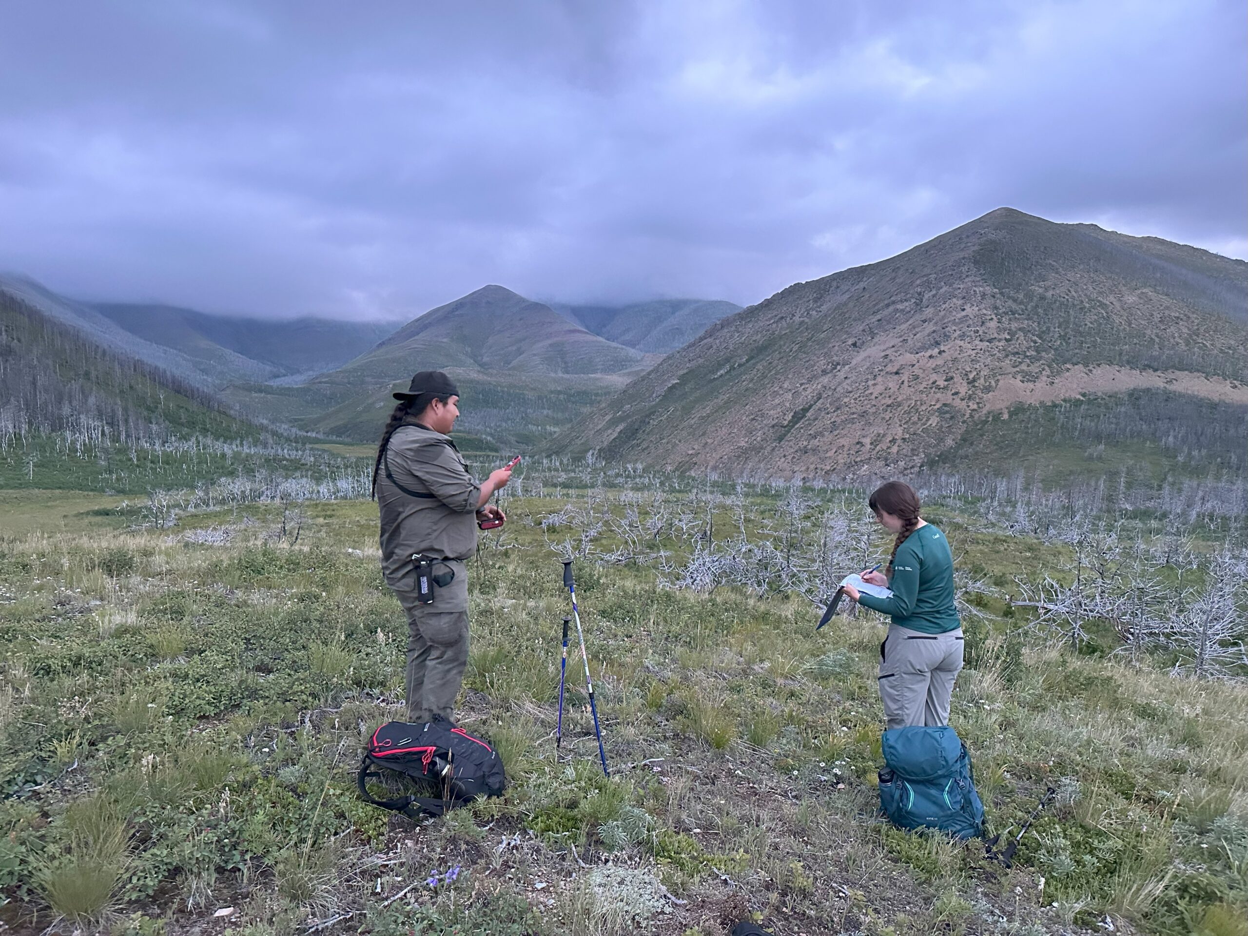 Blackfoot Confederacy Guardianship Rocky Mountain East Slopes Knowledge Hub field work